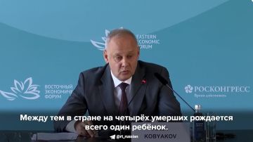 ������ ���������� ��������