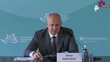 Советник Путина Антон Кобяков допустил переселение части населения России на территорию Украины - для «спасения от вымирания»