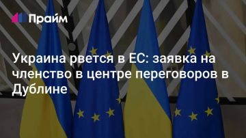 Украина рвется в ЕС: в Дублине ускоряют переговоры о вступлении
