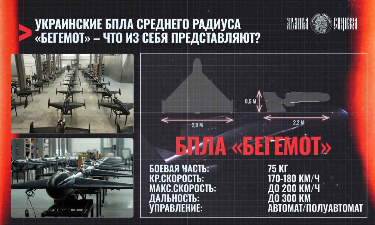 На подходе очередной украинский аналог «Шахеда»