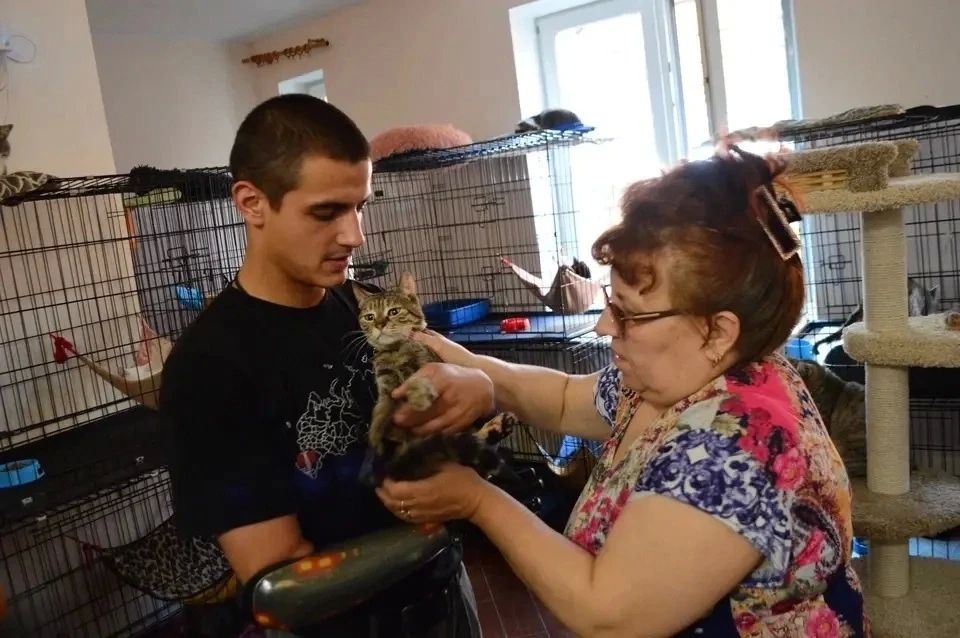 «Долгое время одна жила в разрушенном доме»: ветеран СВО Виктор Москалев взял из приюта кошку, эвакуированную из Авдеевки «Долгое время одна жила в разрушенном доме»: ветеран СВО Виктор Москалев взял из приюта кошку, эвакуированную из Авдеевки
