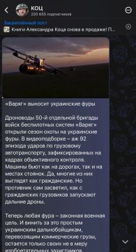Не только лишь зерно. Товар на экспорт — это одно, а груз военного назначения — совсем другое, даже если он замаскирован под фуры с зерном или Coca-Cola