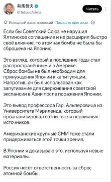Елена Панина: Профессор из Токио: В атомных ударах по Японии виноват