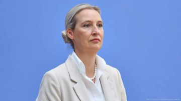 Ужесточение позиций по отношению к РФ — "выстрел себе в ногу", заявила сопредседатель партии "АдГ" Алиса Вайдель