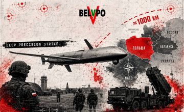 Дальнобойная ставка Польши