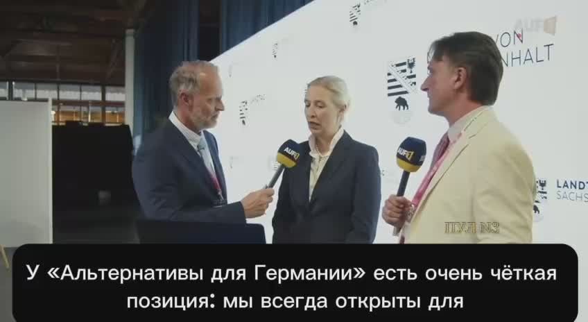 Лидер «Альтернативы для Германии» Алис Вайдель - о том, что ФРГ могла бы быть посредником в войне между Россией и Украиной, если бы не позиция нынешнего правительства: