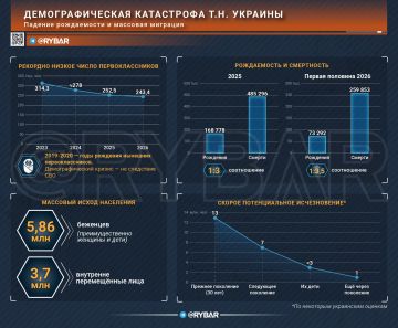 Поколение на убыль. Куда ведёт демографическая инерция т.н. Украины?