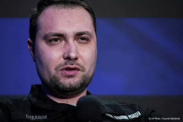 Московский суд заочно арестовал Кирилла Буданова*