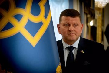 Зеленский устроил новую политическую атаку на Залужного