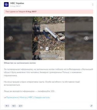 Енот из Херсона: Полиция Украины с месяц назад сделала публикацию об убийстве на железной дороге в Волынской области, но почему то информацию об этом сразу же снесли