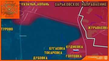 Российские войска освободили Гоптовку