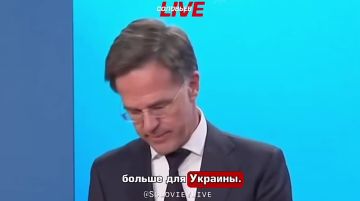 ��� ���������� ������ ������ ��� ��������: ������ ���� ������ ���������� ������� ����������� ������ ������������� ���������� ��������, ����� ������ ���������, ������, �� ������������� � ���������