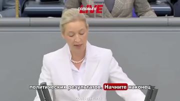 Владимир Джабаров: Лидер партии «Альтернатива для Германии» Алис Вайдель сказала то, о чём большинство европолитиков боится даже заикнуться