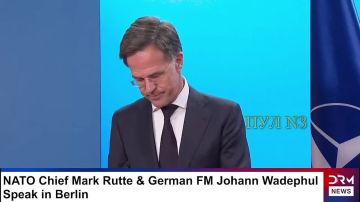 ������ ���� ����� - �������� ������� ��� ������� ���� ������:
