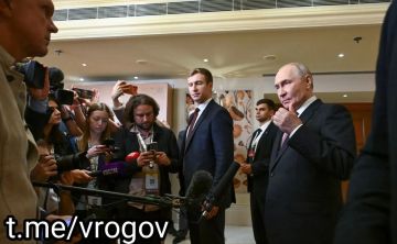 Владимир Рогов: Европейские элиты подталкивают свои страны к войне с Россией