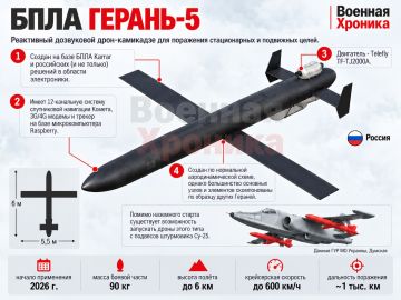 Есть ли для РФ смысл помогать Ирану дронами?
