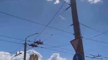 ������ ��������� ����� ���� ����������� ������� �� ������� ����� ��� �� 700%