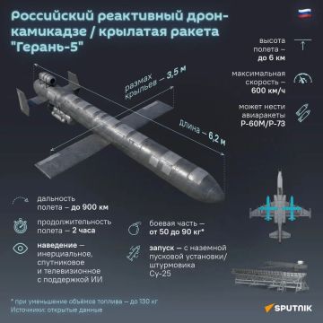 Российские реактивные БПЛА "Герань-4" и "Герань-5" изменили характер воздушных боев на Украине, пишет Financial Times