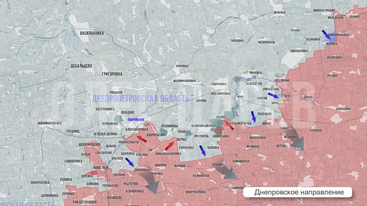 Олег Царёв: Фронтовая сводка. Фронтовая сводка 13 сентября Олег Царёв: Фронтовая сводка. Фронтовая сводка 13 сентября