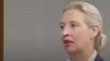 Даниил Безсонов: Тем временем "Альтернатива для Германии" обещает прекратить помощь Украине и депортировать сотни тысяч украинцев