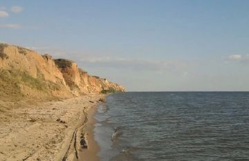 Сальдо заявил о потере Киевом крупного выхода в Черное море