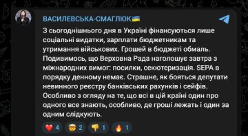 Денег в бюджете Украины почти не осталось, заявила депутат Верховной рады Василевская-Смаглюк