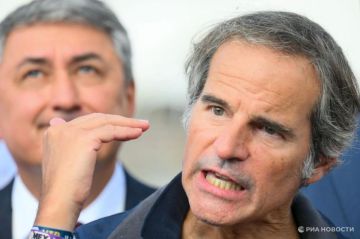 Владимир Рогов: Боевики ЗеРейха сорвали приезд главы МАГАТЭ