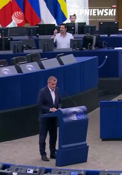Польский евродепутат потребовал прекратить финансирование Украины и порвал портрет Бандеры