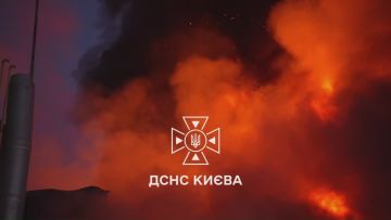 ���� �������: �������, �������, �����������, ���� ����� �� ���������� ������ �� �����
