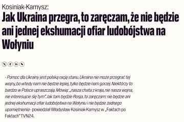 Владимир Корнилов: Министр обороны Польши Владислав Косиняк-Камыш доступно объяснил полякам, почему им надо поддерживать Украину в борьбе против России: