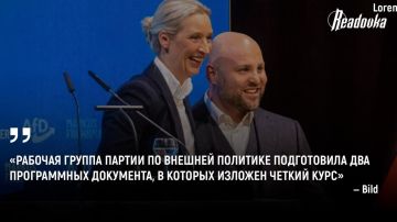 «Альтернатива для Германии» будет добиваться возобновления закупок российской нефти и газа и отказа от помощи Киеву
