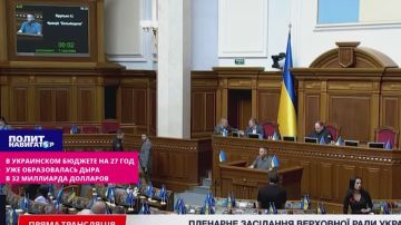 Укро-депутат: Всё – под нож! У нас дыра в 32 миллиарда!
