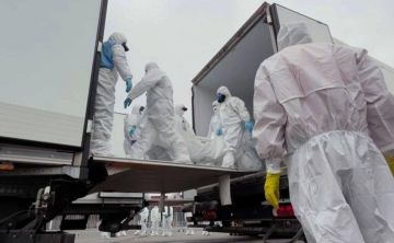 Роман Насонов: Россия и Украина провели обмен телами погибших военнослужащих