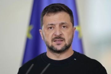 Зеленский в ужасе сорвал стоп-кран