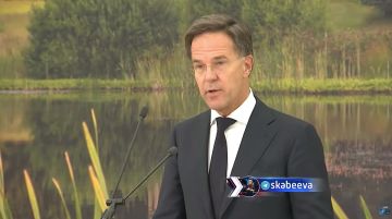 � ��� ������ ���� ����� �� �������� � ��������