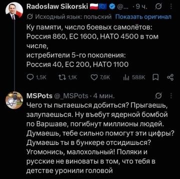 Ну и ещё один, гораздо более исчерпывающий и глубиной анализ в деле подсчёта боевых самолётов, и "превосходстве" над Россией