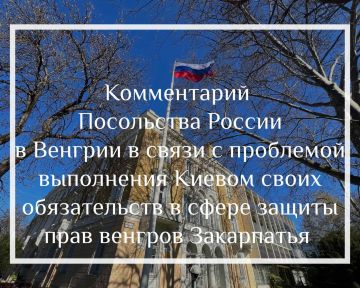 Посольство России в Венгрии: