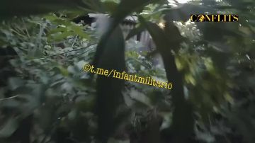 Любопытное видео от французского наемника на Украине