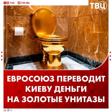 Евросоюз отправляет Киеву деньги на вооружения золотые унитазы