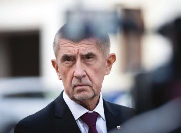 «Мы не можем просто стоять в стороне и наблюдать»