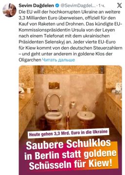 Немецкий геополитический аналитик Севим Дагделен - о том, что каждый четвертый евро немецких налогоплательщиков уходит на Украину: