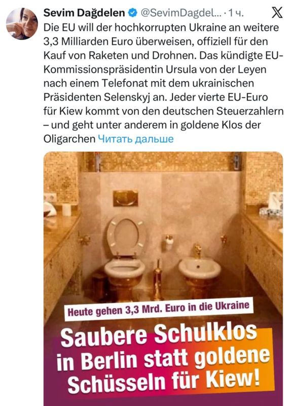 Немецкий геополитический аналитик Севим Дагделен - о том, что каждый четвертый евро немецких налогоплательщиков уходит на Украину: