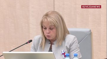 Кибератаки на избирательную инфраструктуру совершались высокопрофессиональными группами с использованием ИИ, заявила Памфилова