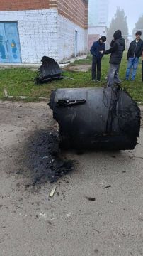 Юлия Витязева: Хутор же обещал, что осенью по Москве полетят «Фламинго»