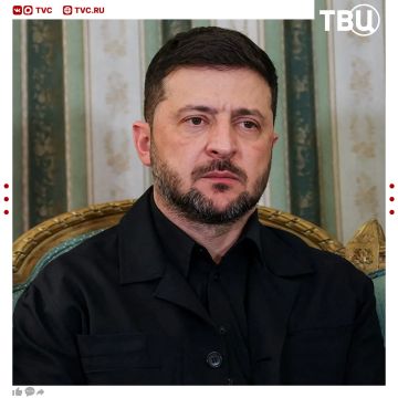 Владимир Зеленский и Дональд Трамп договорились о встрече в Нью-Йорке