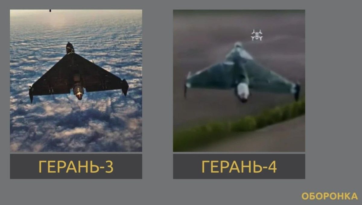 Тут выяснилось что не все знают эволюционный путь герани Тут выяснилось что не все знают эволюционный путь герани