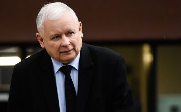 Втянуть в войну любой ценой: в Польше заявили о планах Киева создать «единое государство»