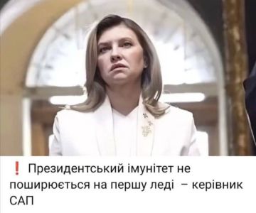Интересные намеки от антикоррупционных органов Украины про Елену Зеленскую
