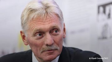 Пока никаких подвижек в переговорном процессе по Украине нет, заявил Песков