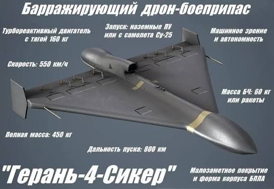 Тут выяснилось что не все знают эволюционный путь герани Тут выяснилось что не все знают эволюционный путь герани